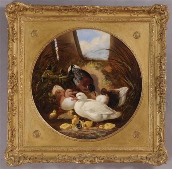 Ducks And Ducklings Oil Painting by John Frederick Herring Snr