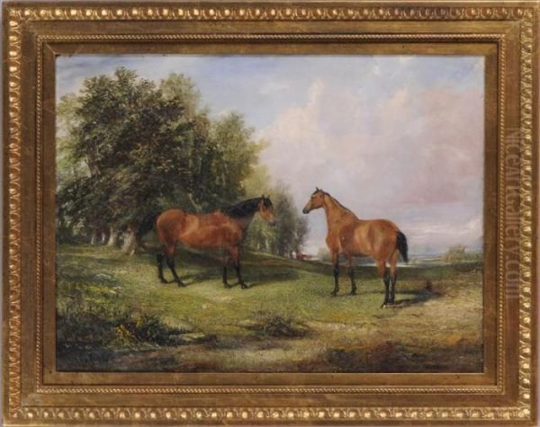 Two Bay Horses In A Meadow Oil Painting by John Frederick Herring Snr