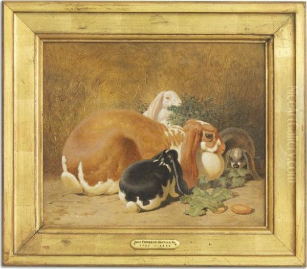 Lop-eared Rabbits Feeding Oil Painting by John Frederick Herring Snr