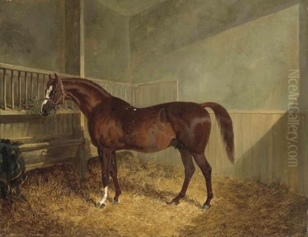 Pantaloon In A Stable Oil Painting by John Frederick Herring Snr