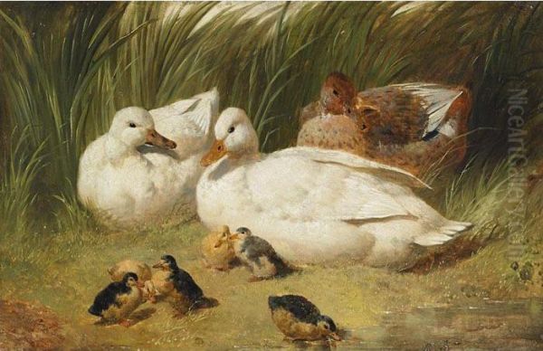 Family Of Ducks Oil Painting by John Frederick Herring Snr