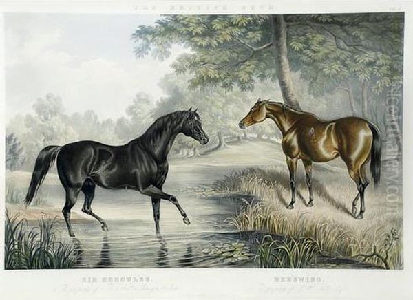 Portraits Of Celebrated Stallions Andmares Oil Painting by John Frederick Herring Snr