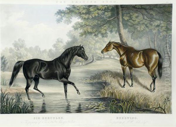 The Britishstud: Portraits Of Celebrated Stallions And Mares Oil Painting by John Frederick Herring Snr