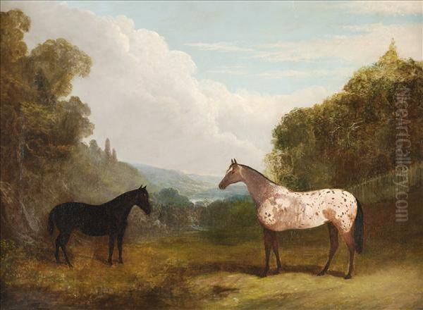 An Appaloosa And A Black Horse In A Landscape Oil Painting by John Frederick Herring Snr