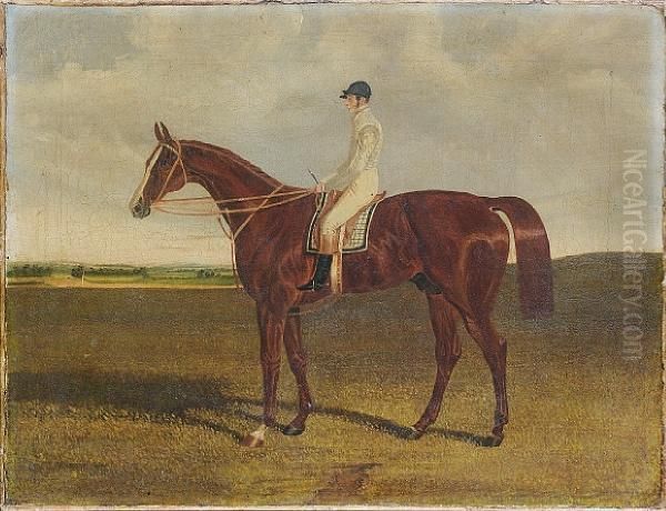 A Bay Racehorse With Jockey Up Oil Painting by John Frederick Herring Snr