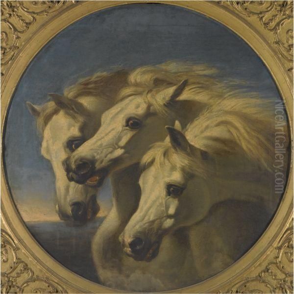 Pharaoh's Horse Oil Painting by John Frederick Herring Snr