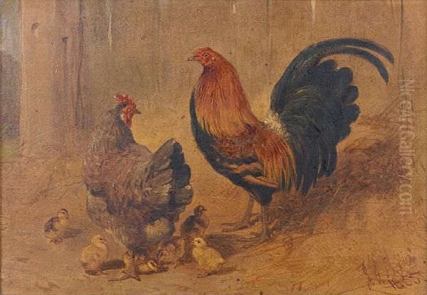 A Black Breasted Red Cockerell With Hen Andchicks Oil Painting by John Frederick Herring Snr