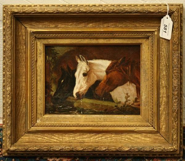 Study Of Three Horses Oil Painting by John Frederick Herring Snr