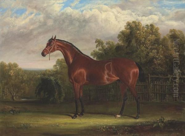 Negotiator, A Bay Racehorse In A Landscape Oil Painting by John Frederick Herring Snr