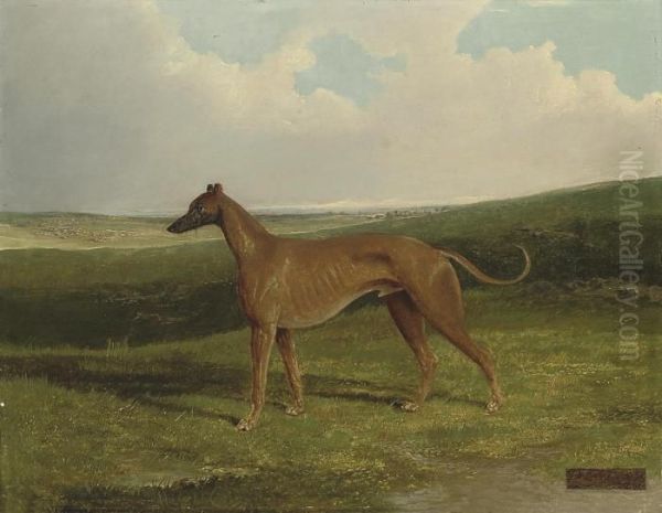 A Champion Greyhound In An Extensive Landscape Oil Painting by John Frederick Herring Snr