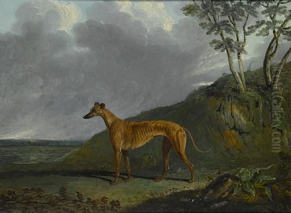 A Brindle Greyhound Bitch In A Landscape Oil Painting by John Frederick Herring Snr