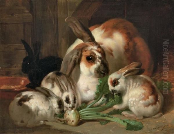 Rabbits In An Interior Oil Painting by John Frederick Herring Snr