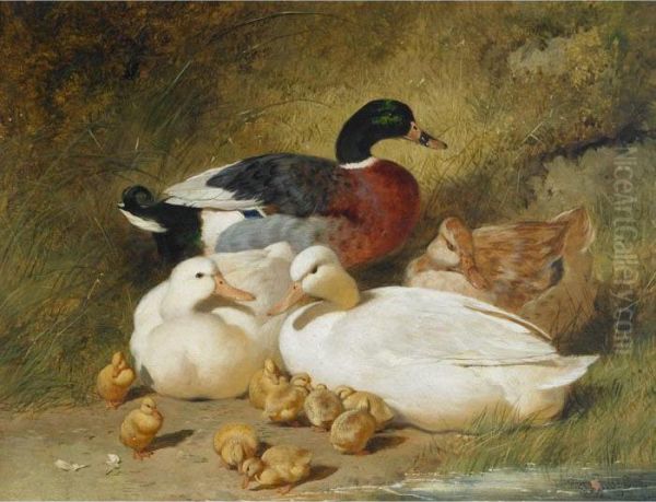 Mallard Ducks And Ducklings Oil Painting by John Frederick Herring Snr