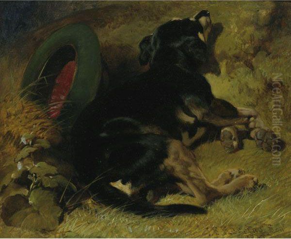 A Dog Sleeping Near A Hat On A Grassy Bank Oil Painting by John Frederick Herring Snr