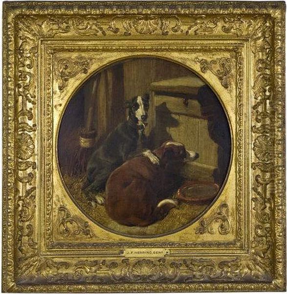 A Pair Of Whippets In A Stable Oil Painting by John Frederick Herring Snr