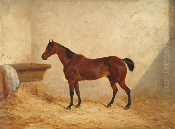 Snr A Bay Hunter In A Stable Interior Oil Painting by John Frederick Herring Snr