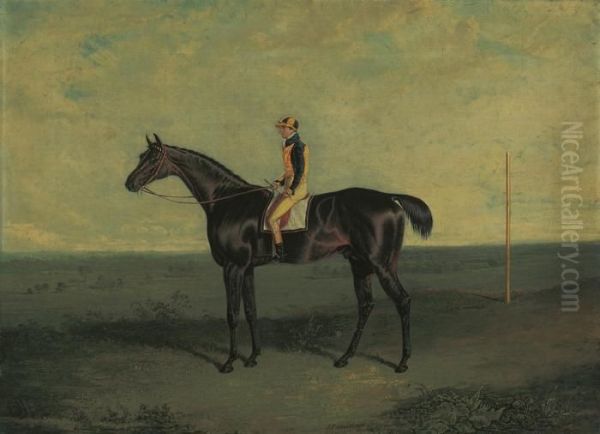 Mr Ralph Riddell's Dr Syntax With Robert Johnson Up by John Frederick Herring Snr