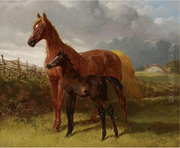 A Chestnut Mare And Foal In A Field Oil Painting by John Frederick Herring Snr