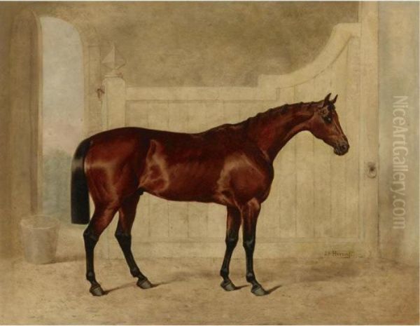 A Bay Horse In A Stable Oil Painting by John Frederick Herring Snr