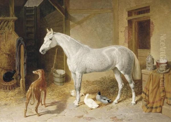 A Dappled Grey Horse In A Stable, With A Greyhound, Ducks And Acat Oil Painting by John Frederick Herring Snr