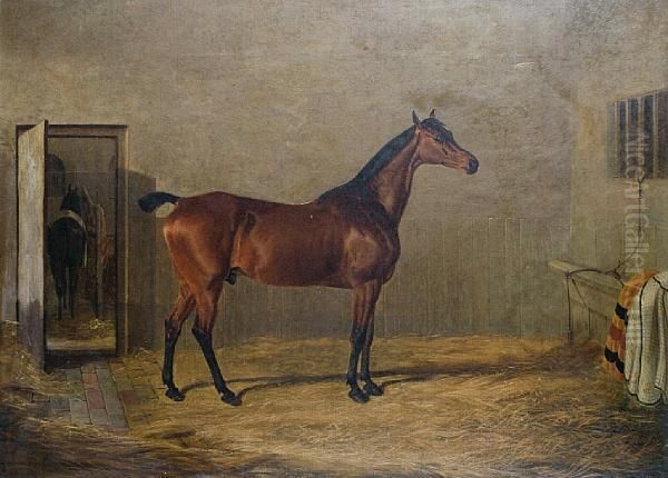 Study Of A Horse Oil Painting by John Frederick Herring Snr