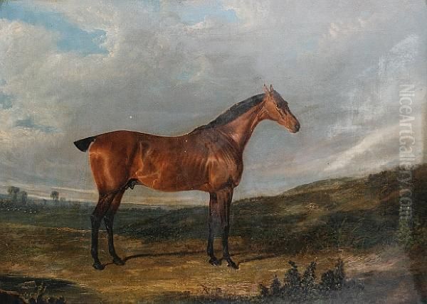 A Horse, Thought To Be Called Thyrsis, In Alandscape Oil Painting by John Frederick Herring Snr