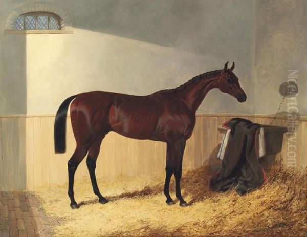 G.w. Gratwicke's Bay Colt Oil Painting by John Frederick Herring Snr