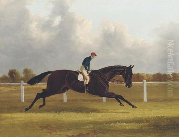 Major Yarburgh's Brown Colt Oil Painting by John Frederick Herring Snr