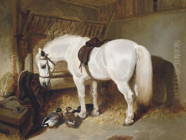 A Grey Pony In A Stable With Ducks Oil Painting by John Frederick Herring Snr