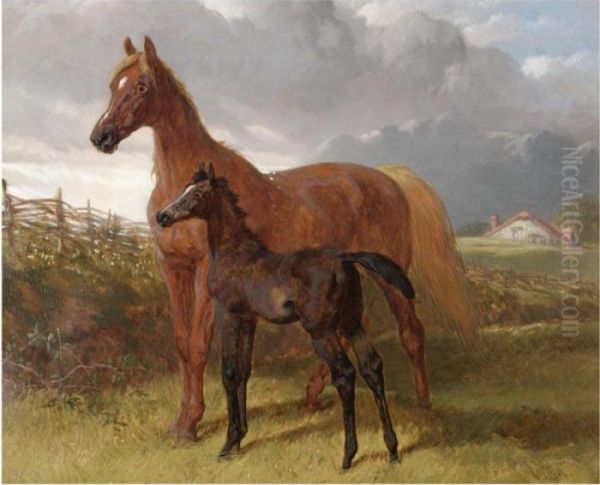 A Chestnut Mare And Foal In A Field Oil Painting by John Frederick Herring Snr