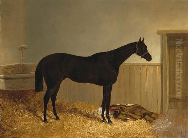 The Thoroughbred 'mickey Free' Oil Painting by John Frederick Herring Snr