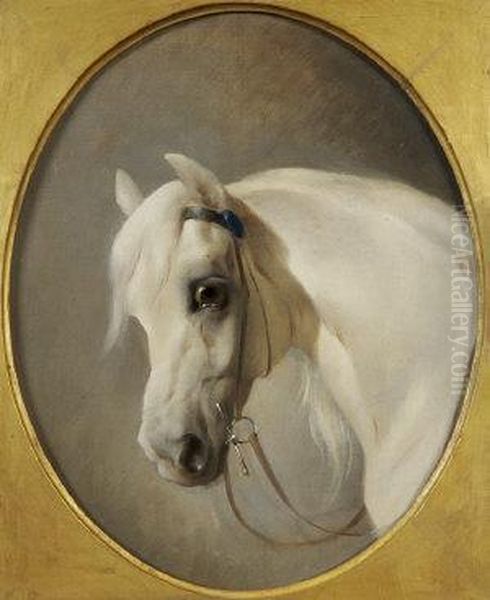 Studies Of Horses Heads - Bay And Grey Oil Painting by John Frederick Herring Snr