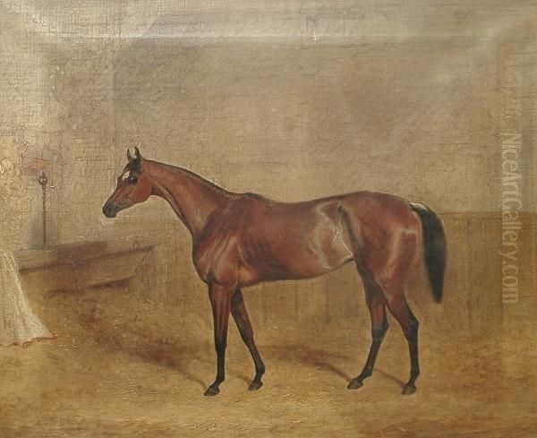 Portrait Of 'miami' In A Stable Oil Painting by John Frederick Herring Snr