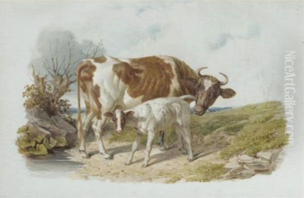 Study Of A Cow And Her Calf Oil Painting by John Frederick Herring Snr