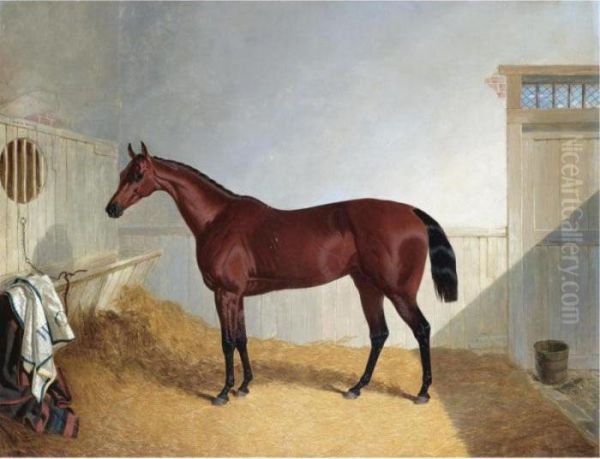 Beeswing, A Dark Bay Racehorse In A Stable Oil Painting by John Frederick Herring Snr