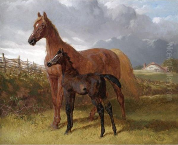 A Chestnut Mare And Foal In A Field Oil Painting by John Frederick Herring Snr