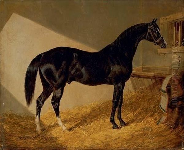 Camel, Winner Of The 1826 Port Stakes, In A Stable Oil Painting by John Frederick Herring Snr