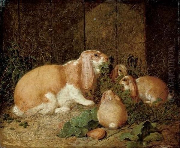 Lop-eared Rabbits Oil Painting by John Frederick Herring Snr