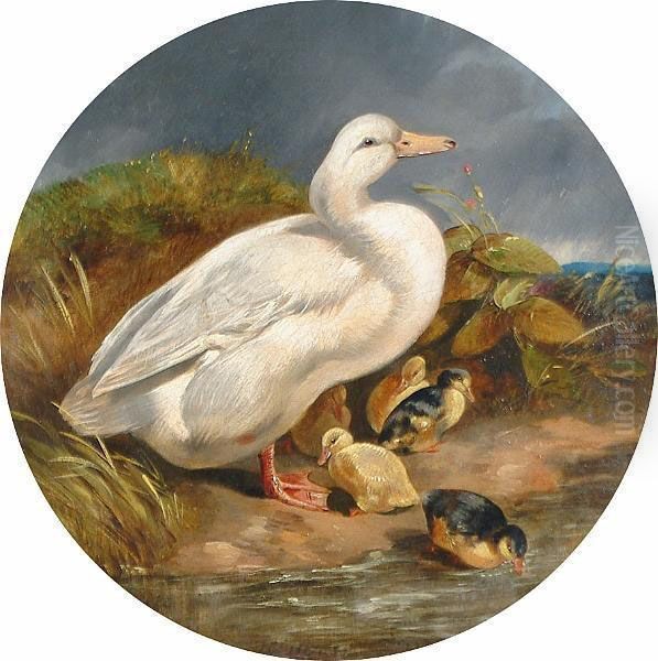 Duck And Ducklings Oil Painting by John Frederick Herring Snr