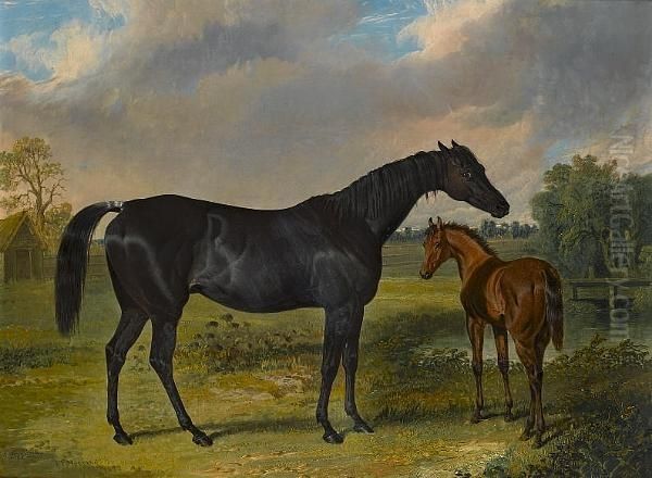 Pipylina And Foal Oil Painting by John Frederick Herring Snr