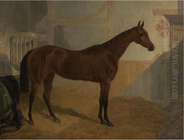 Blue Bonnet In A Stall Oil Painting by John Frederick Herring Snr