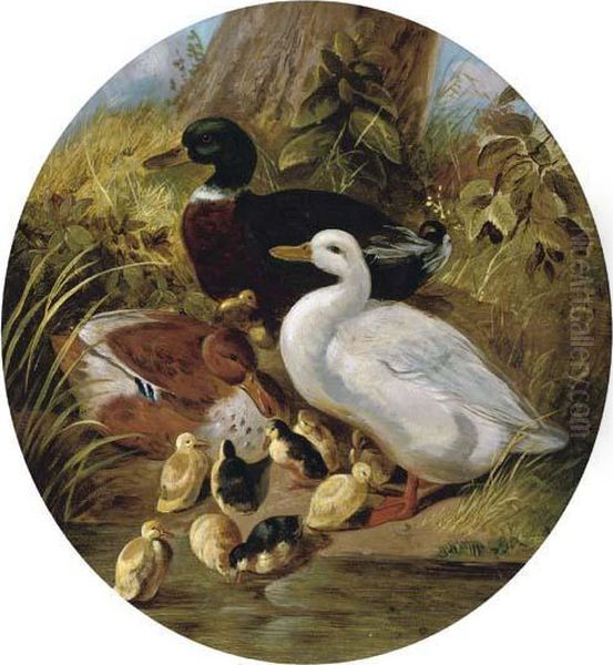 The Bank Of The Duck Pond Oil Painting by John Frederick Herring Snr