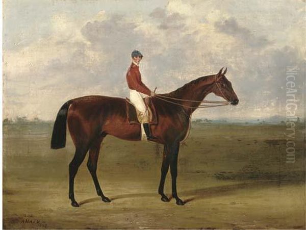 Amato, With Jockey Up Oil Painting by John Frederick Herring Snr