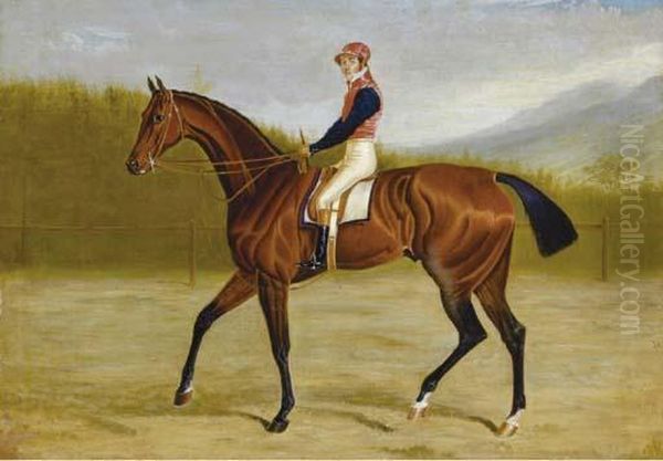 Racehorse With Jockey Up Oil Painting by John Frederick Herring Snr