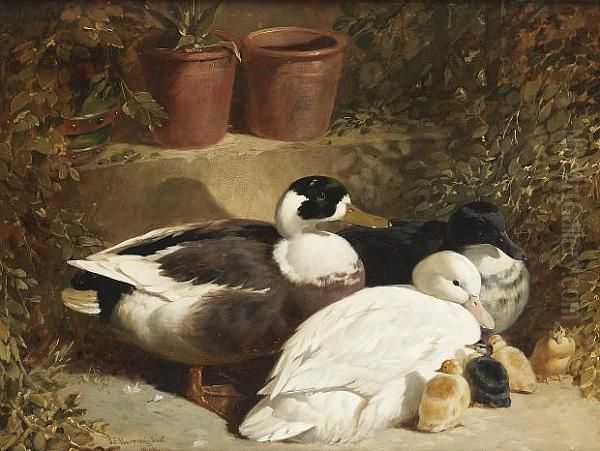 Ducks And Ducklings Oil Painting by John Frederick Herring Snr