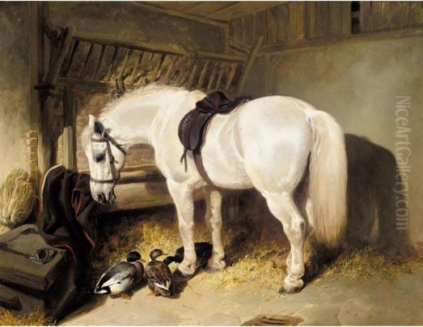 A Grey Pony In A Stable With Some Ducks Oil Painting by John Frederick Herring Snr