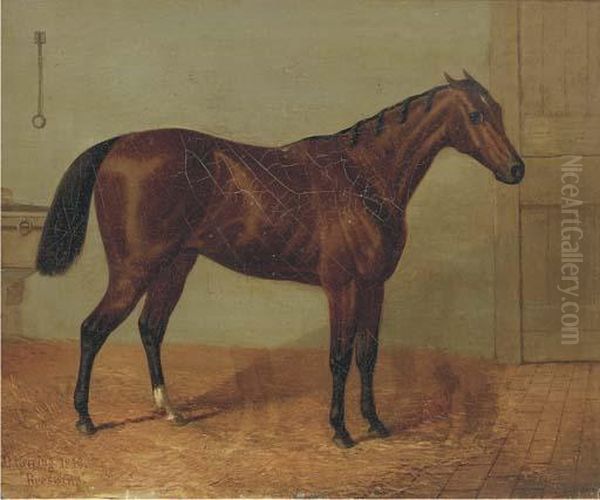 Beeswing, A Racehorse In A Stable Oil Painting by John Frederick Herring Snr