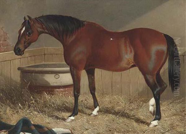 A Light Brown Racehorse In A Stable Oil Painting by John Frederick Herring Snr