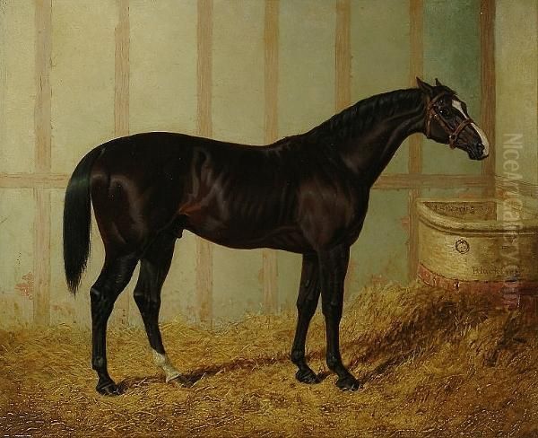 Mr Watts Horse, 'blacklock', In A Stable Oil Painting by John Frederick Herring Snr