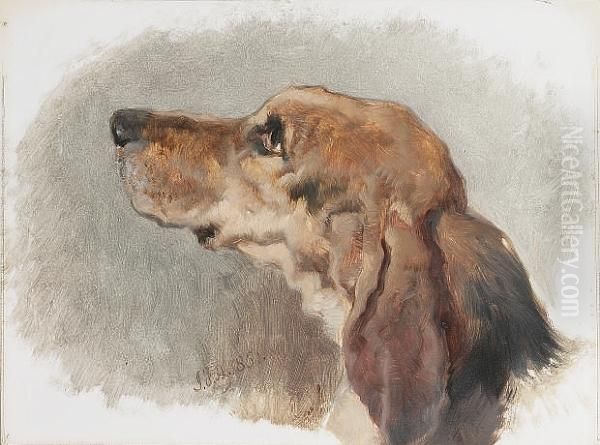 Study Of The Head Of A Hound Oil Painting by John Frederick Herring Snr